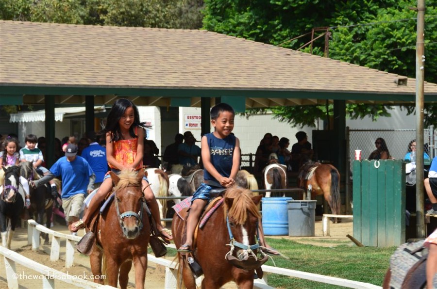 Griffith Park Pony Rides The World Is A Book