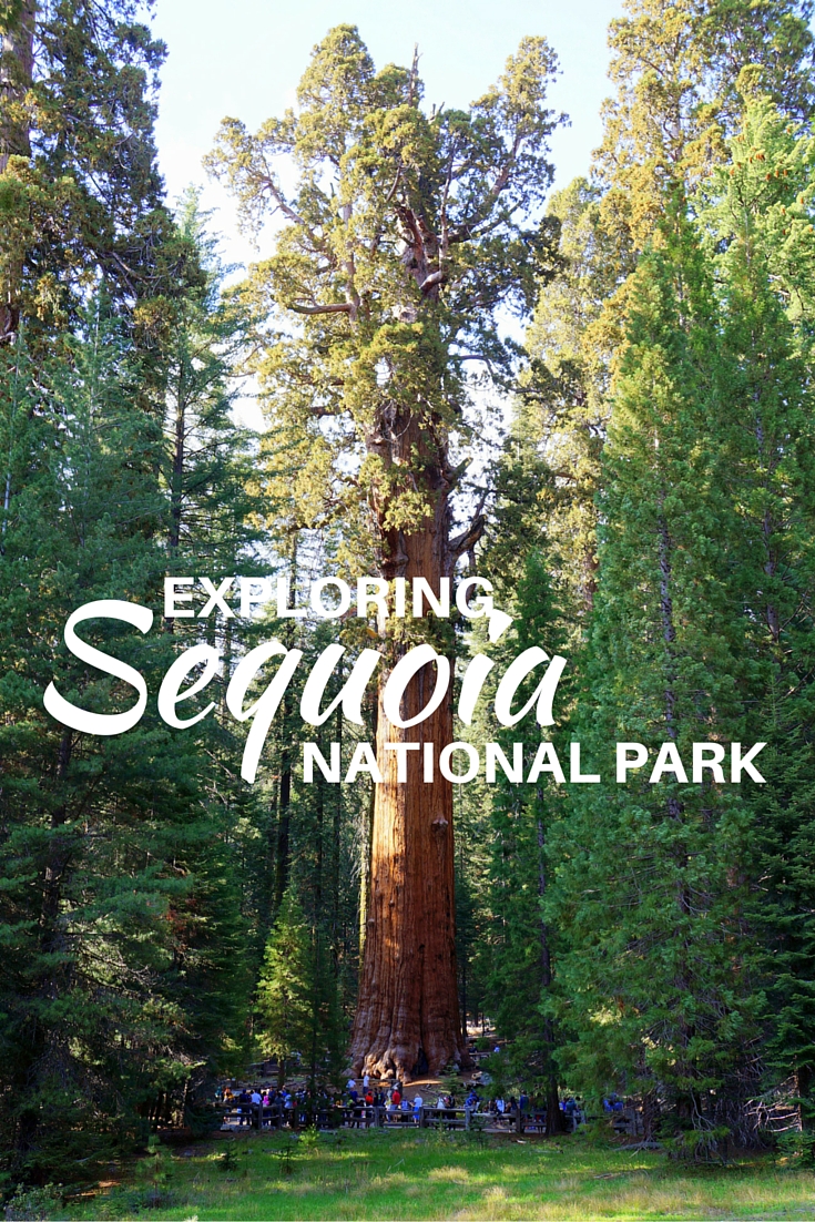 Sequoia National Park with kids - The World Is A Book