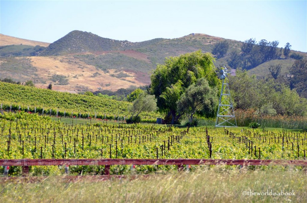 Solvang with kids: Danish Capital of America - The World Is A Book