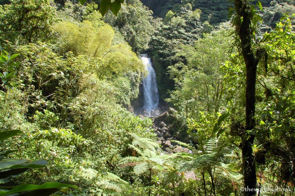 Dominica with kids: Nature Isle of the Caribbean - The World Is A Book