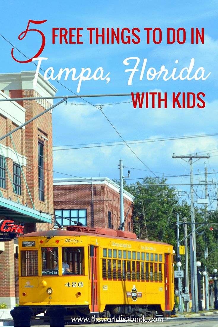 things to do in tampa this weekend
