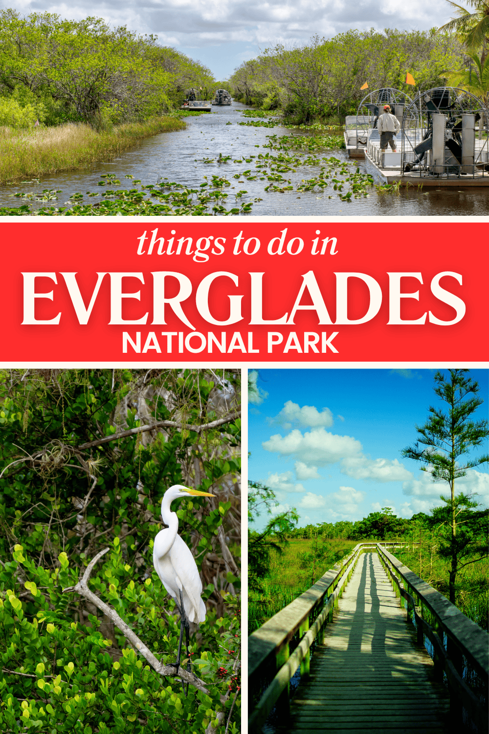 Exploring Everglades National Park With Kids - The World Is A Book