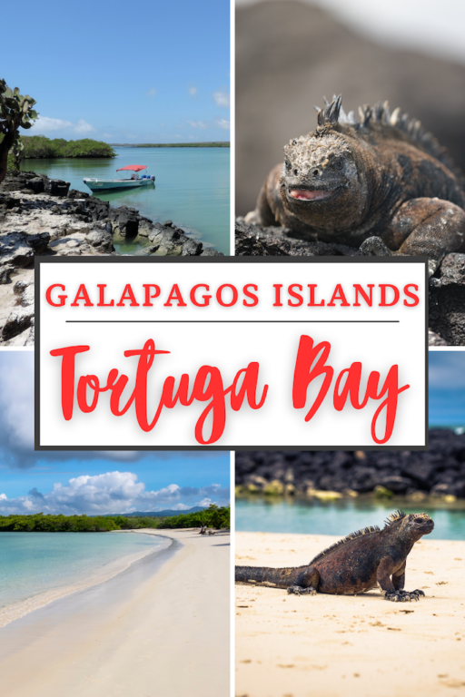 tortuga bay galapagos islands