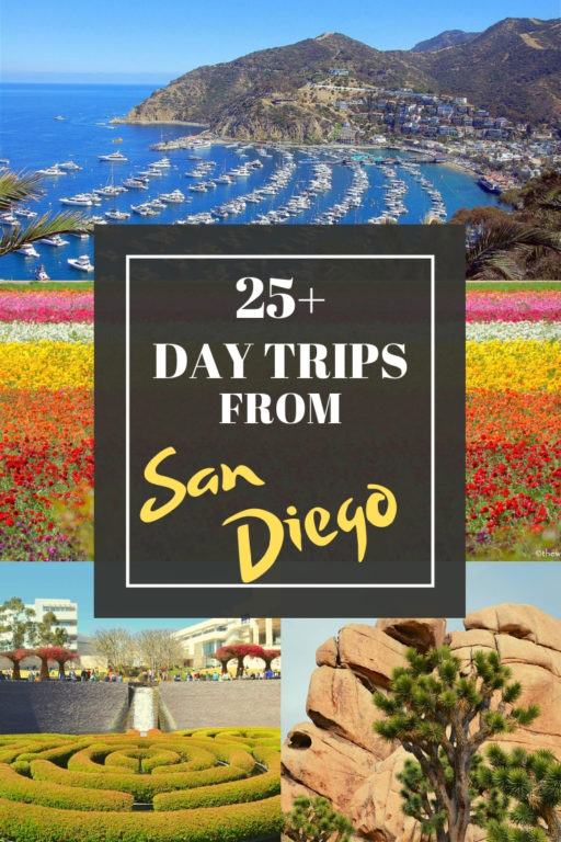 25+ Favorite Day Trips from San Diego - The World Is A Book