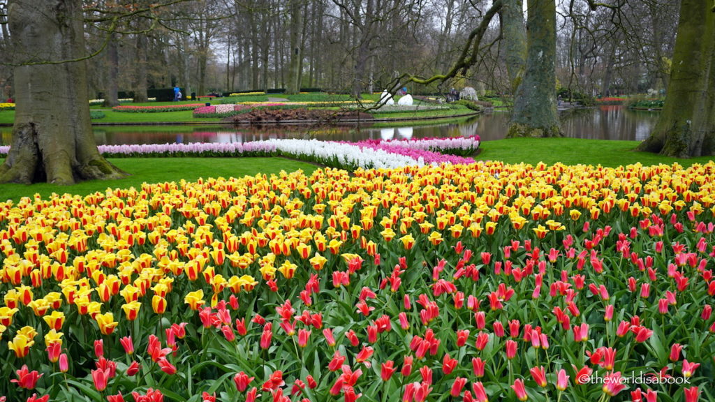 Visiting Keukenhof Gardens, The Netherlands - The World Is A Book