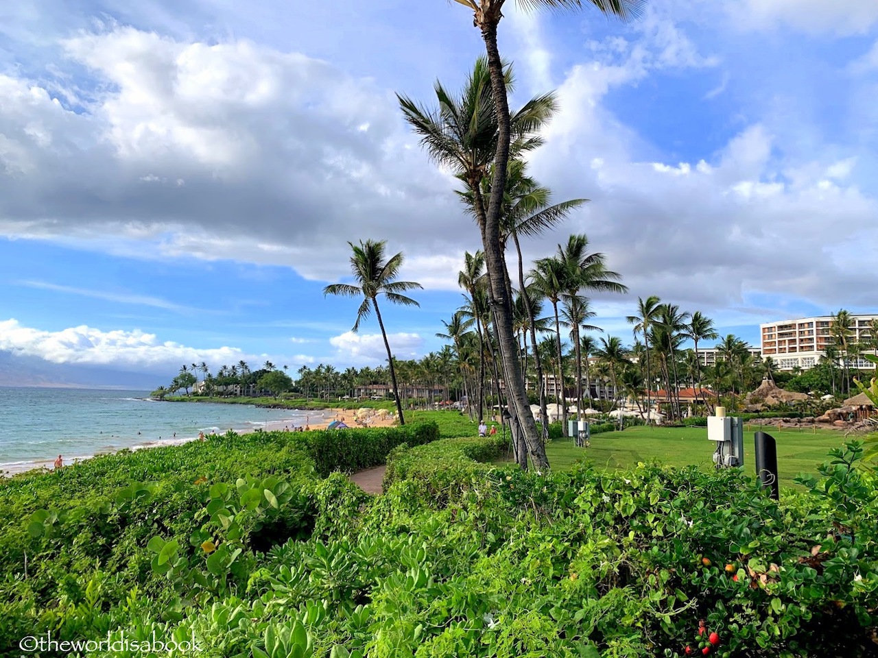 4 or 5-Day Maui Itinerary for First Time Visitors - The World Is A Book