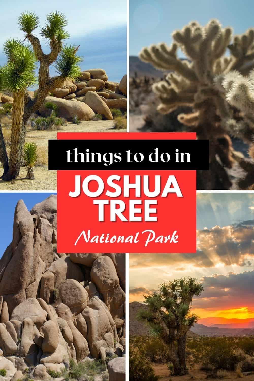 Joshua Tree National Park with kids - The World Is A Book