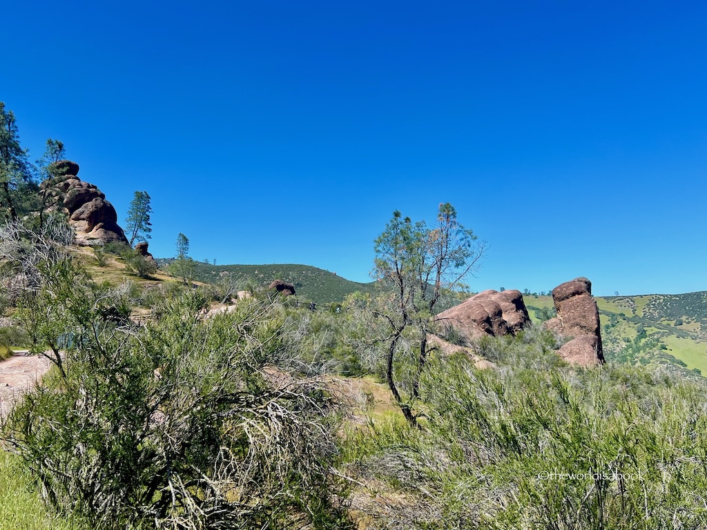 Pinnacles National Park Rim Trail view