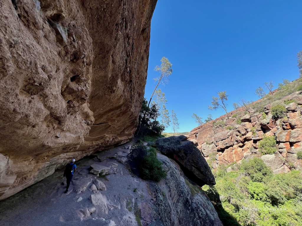 Pinnacles National Park cliffs